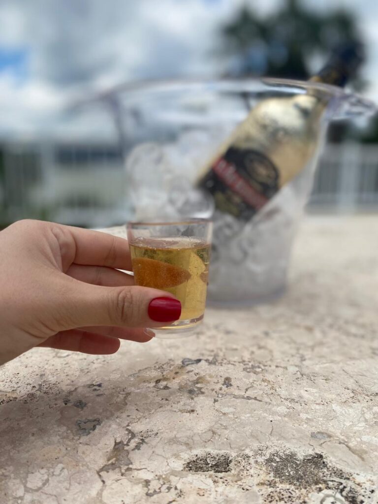 Celebre o Dia da Tequila com copos Krystalon: dicas para servir com estilo, montar o ambiente e brindar com segurança e responsabilidade.